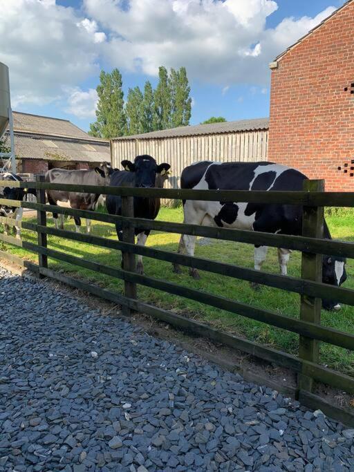 Holiday home Newton Hall Farm Cottage, Hot Tub Garden Views Nr Lytham Ribby Preston (Lancashire)