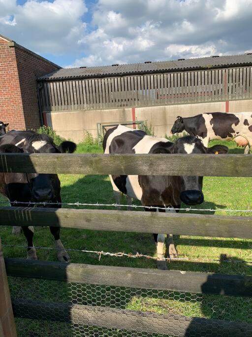 Newton Hall Farm Cottage, Hot Tub Garden Views Nr Lytham Ribby *